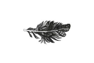 Feather Intricate: A Boho Embroidery Gem